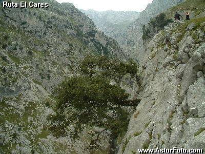 cares,ruta cares,picos europa,senderismo,cabrales,apartamentos,turismo rural,casas aldea,rurales,alojamientos,alojamiento,hotel,hoteles, aventura turismo activo,vacaciones,viajes viajar TURISMO ACTIVO PICOS DE EUROPA