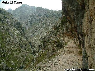 picos europa,ruta cares,picos europa,cabrales,apartamentos,turismo rural,casas aldea,rurales,alojamientos,alojamiento,hotel,hoteles, aventura turismo activo,vacaciones,viajes viajar TURISMO ACTIVO PICOS DE EUROPA