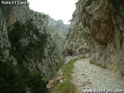 picos europa,ruta cares,picos europa,cabrales,apartamentos,turismo rural,casas aldea,rurales,alojamientos,alojamiento,hotel,hoteles, aventura turismo activo,vacaciones,viajes viajar TURISMO ACTIVO PICOS DE EUROPA